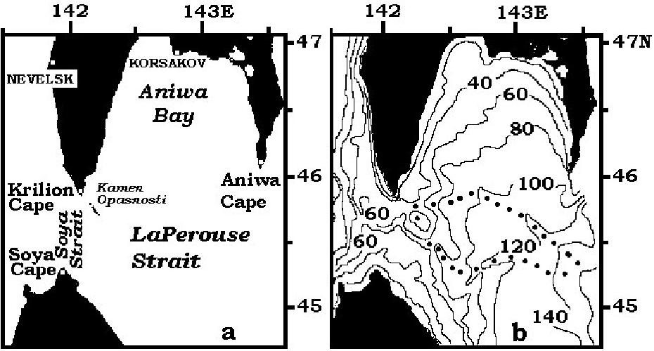 Fig. 1. Schemes of investigated area (a) and bottom topography (b).