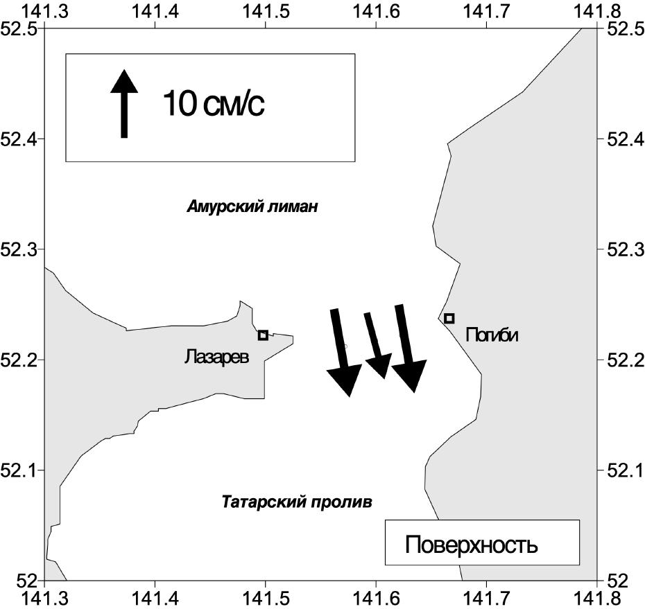 Nevelskogo strait. Surface