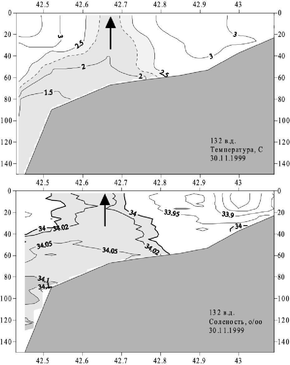 Разрезы температуры и солёности по 132° в.д.