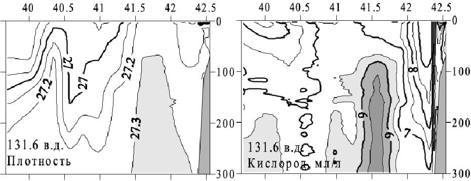 Распределение плотности (слева) и концентрации растворенного кислорода (справа) на разрезе по 131.6° в.д. 3-7 марта 2000 г.