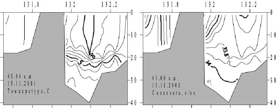 Распределение температуры и солёности на разрезе по 43.06° с.ш. в ноябре 2001 г.