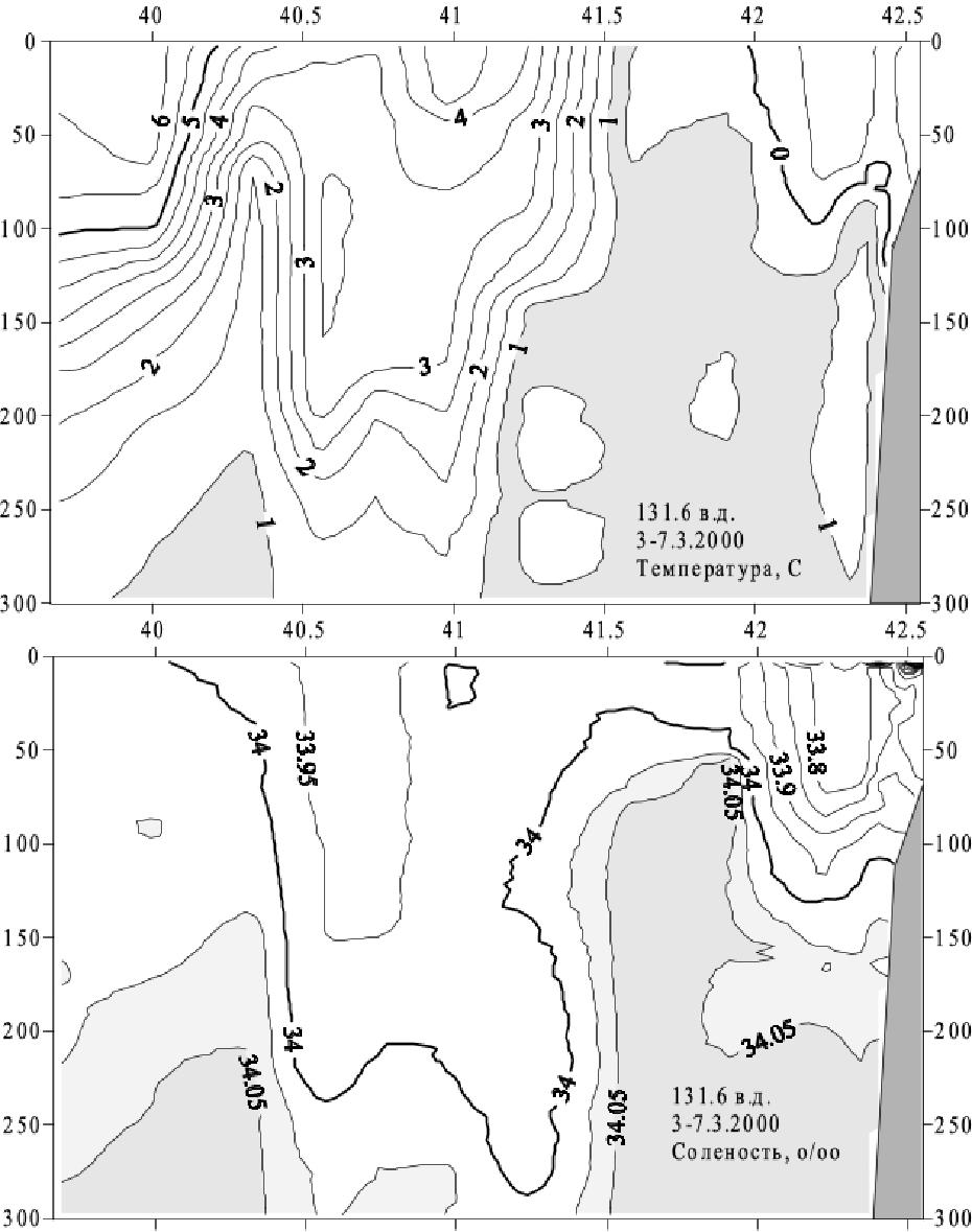 Разрезы температуры и солёности по 131.6° в.д. в марте 2000 г.