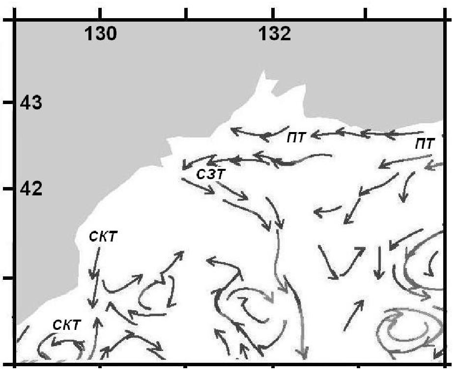 Поверхностные течения северо-западной части Японского моря
